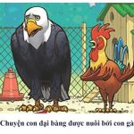 Câu chuyện đại bàng (Phần 3) Câu chuyện Đại bàng